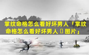 掌纹命格怎么看好坏男人「掌纹命格怎么看好坏男人 ☘ 图片」